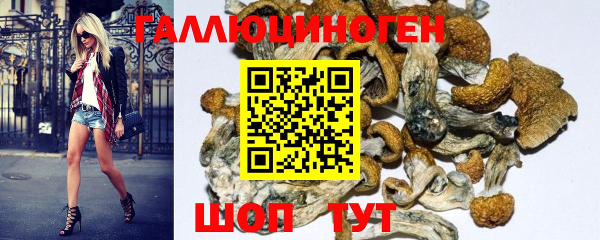 Псилоцибиновые грибы GOLDEN TEACHER  Вход с VPN  Артёмовский  Псилоцибиновые грибы MAGIC MUSHROOMS 