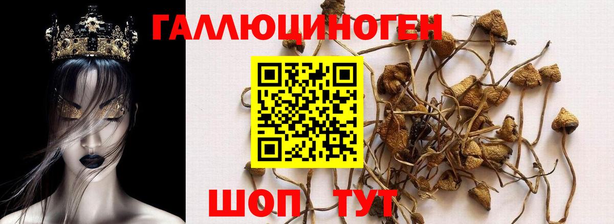 Псилоцибиновые грибы прущие грибы Артёмовский